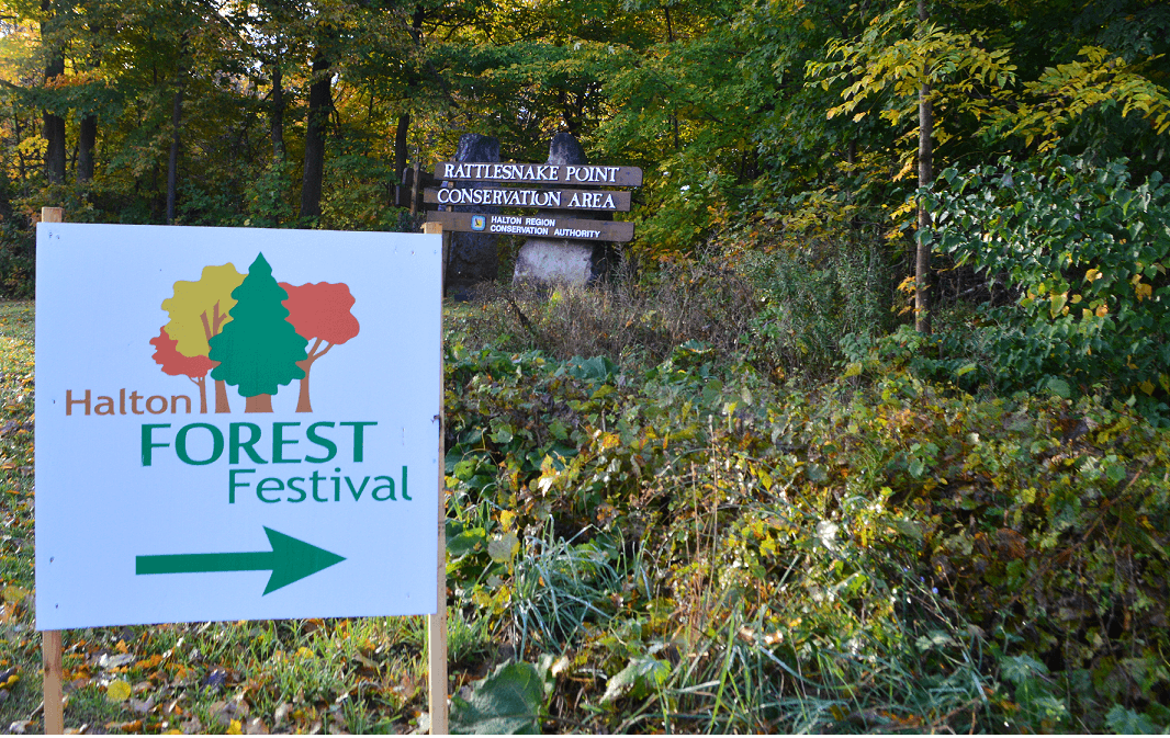 Haton Forest Festival- Entrance 1