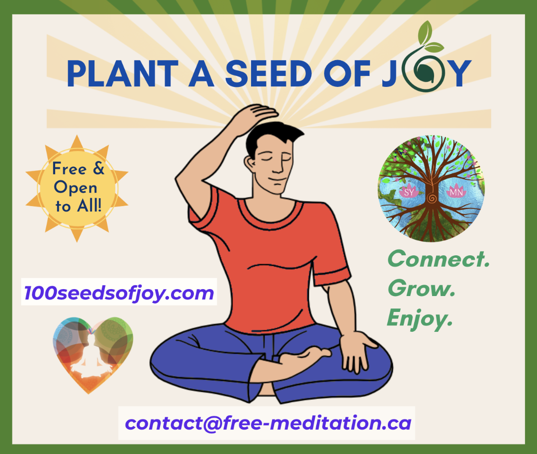 Read more about the article Plant a Seed of Joy in Burlington Today