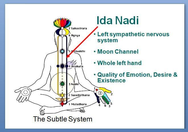 Left Channel or Moon Channel known as Ida Nadi in Sanskrit