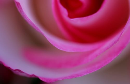 Read more about the article The Dawning of The New Age (Poem from India and Music from Brazil, Ukraine and America)