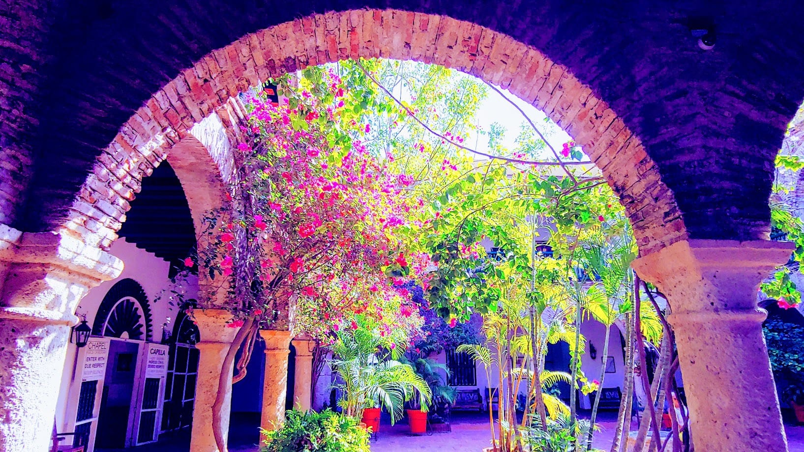 Read more about the article Nellie – Un Instante de CONEXIÓN TOTAL