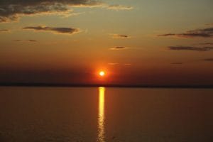 Read more about the article Inge – I was searching for Something Perfect that would Change the World