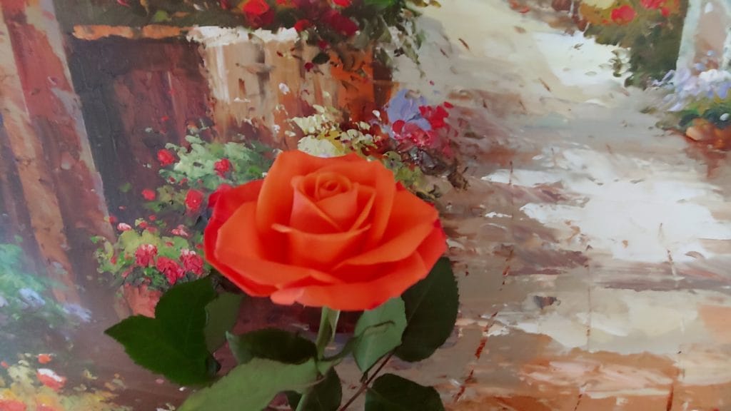 This image has an empty alt attribute; its file name is rose-1024x576.jpg