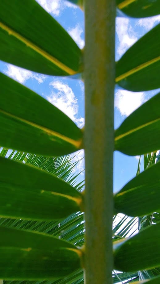 This image has an empty alt attribute; its file name is 20191222_150156_HDR.jpg