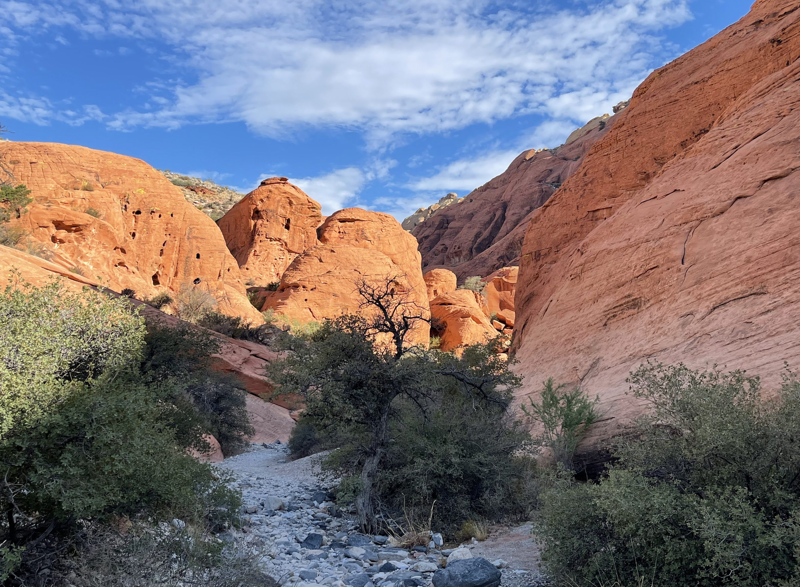 Read more about the article Hearts’ Encounters in America’s Spiritual Nevada