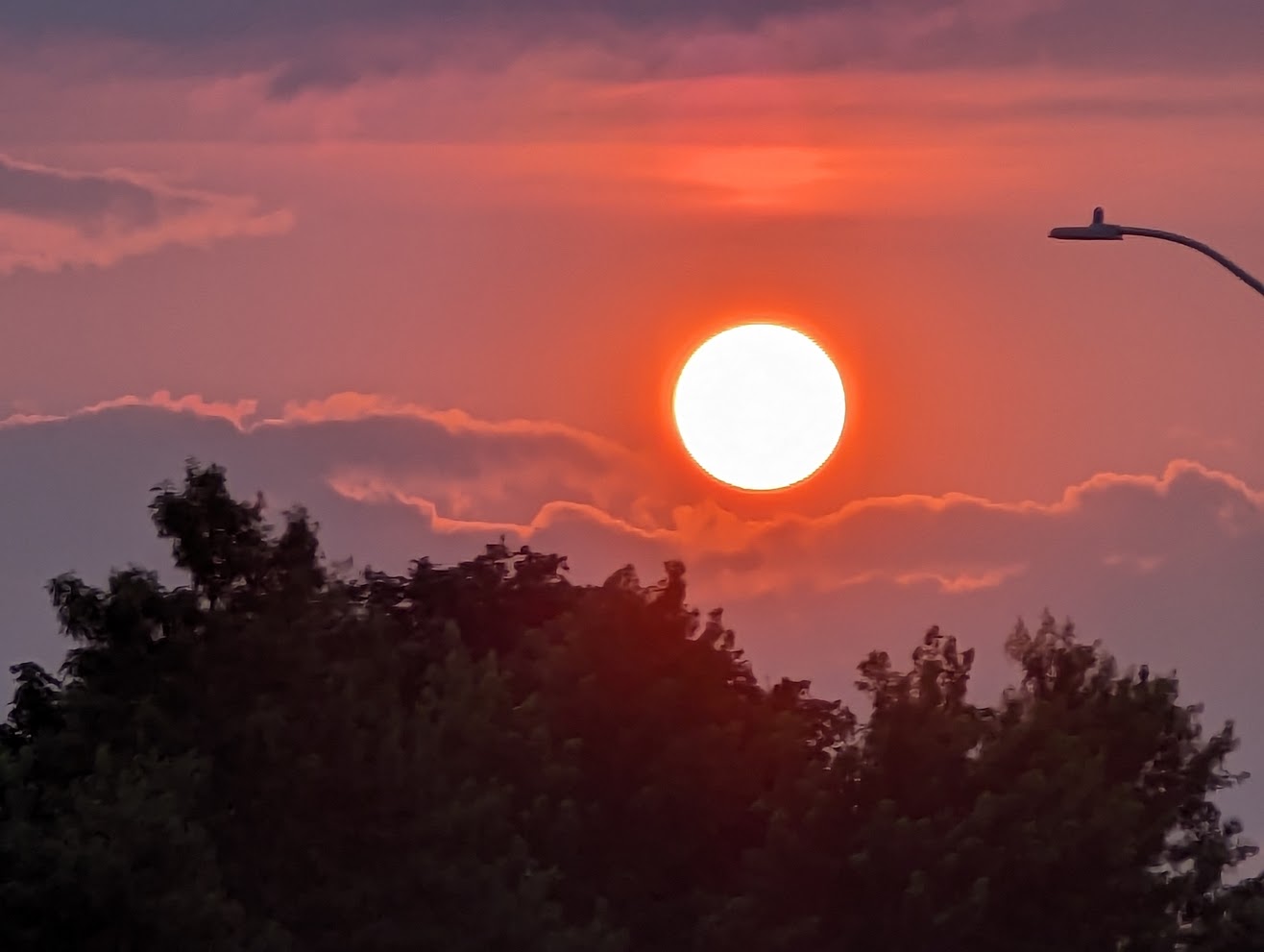 Read more about the article Experience Fragrance and Sunset after Meditation