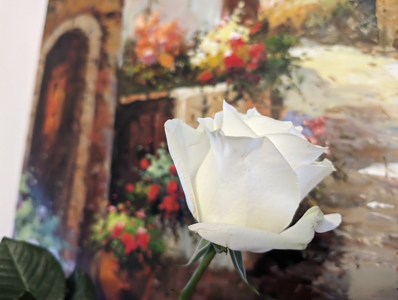 Read more about the article Impressions from Spring Meditation Seminar on Forgiveness