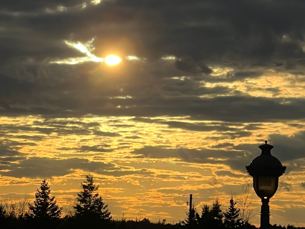 Read more about the article I had a very bad depression in my 12th grade