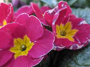 Read more about the article The children took away a new tranquil state of being – Learn about the Joyful Family Time with Stories & Creative Yoga Meditation