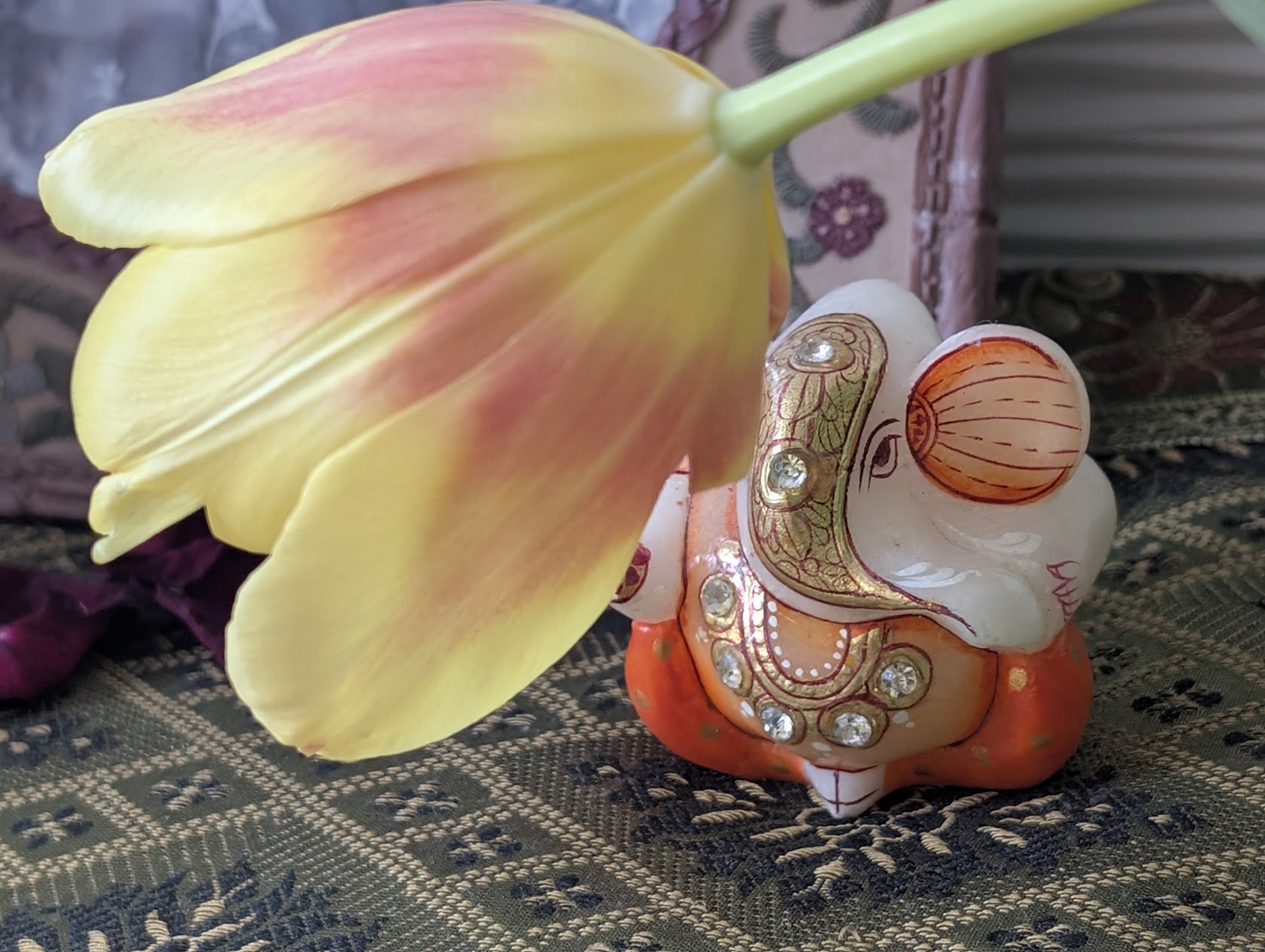 Read more about the article Cool Kids and Parents express their Gratitude for the Creative “Seeds of Joy – Gratitude Meditations”