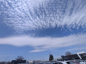 Read more about the article Did You Know that Students LOVE to Meditate in March?!